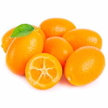 Кумкват Абхазия